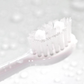 Sonic Toothbrush Replacement Heads - White